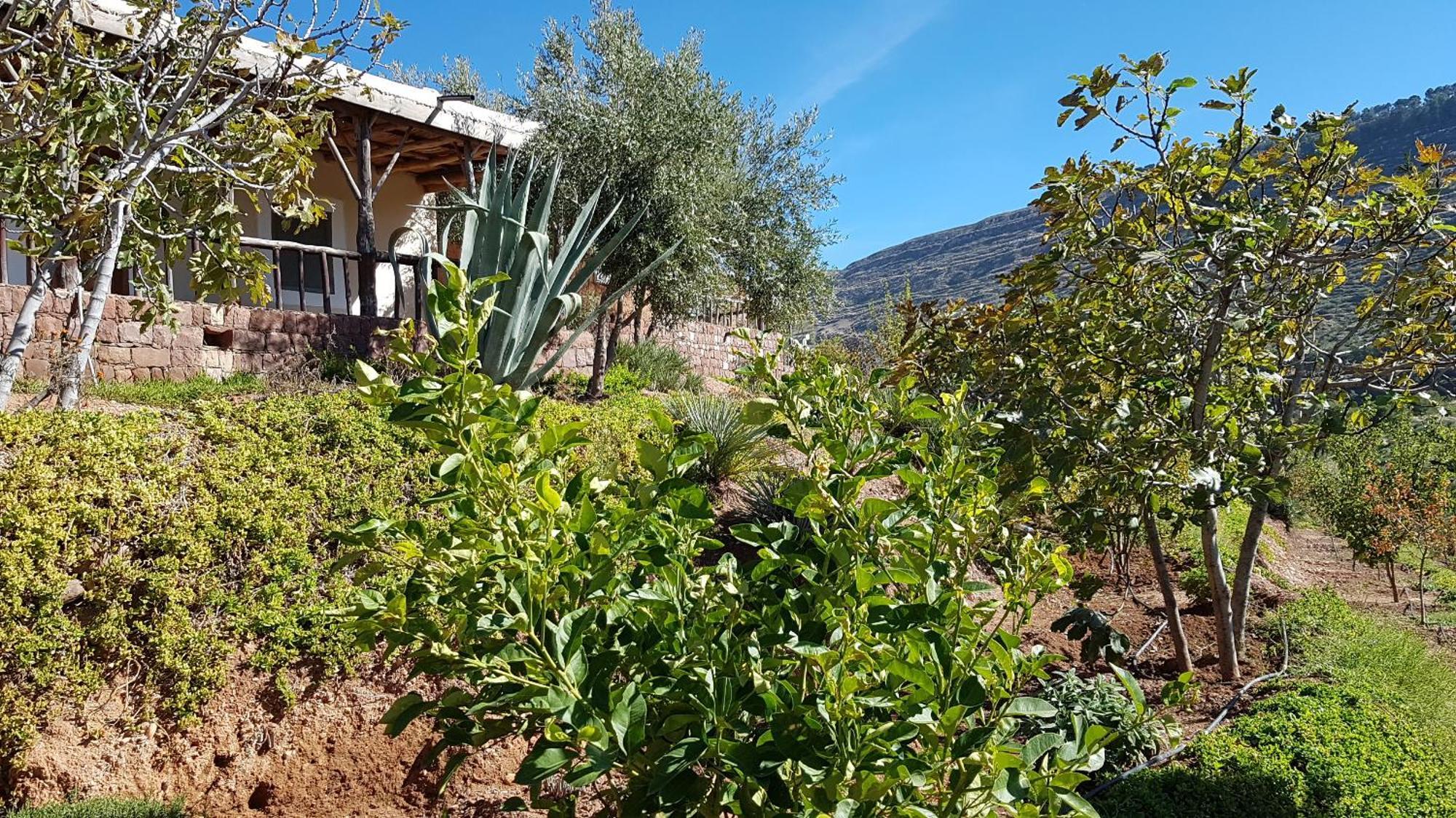 הוילה אוריקה Le Douar Berbere (Adults Only) מראה חיצוני תמונה